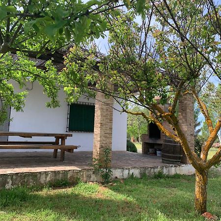 Gran Casa, Lagunas De Ruidera, Bbq, Porche, Chimenea Εξωτερικό φωτογραφία