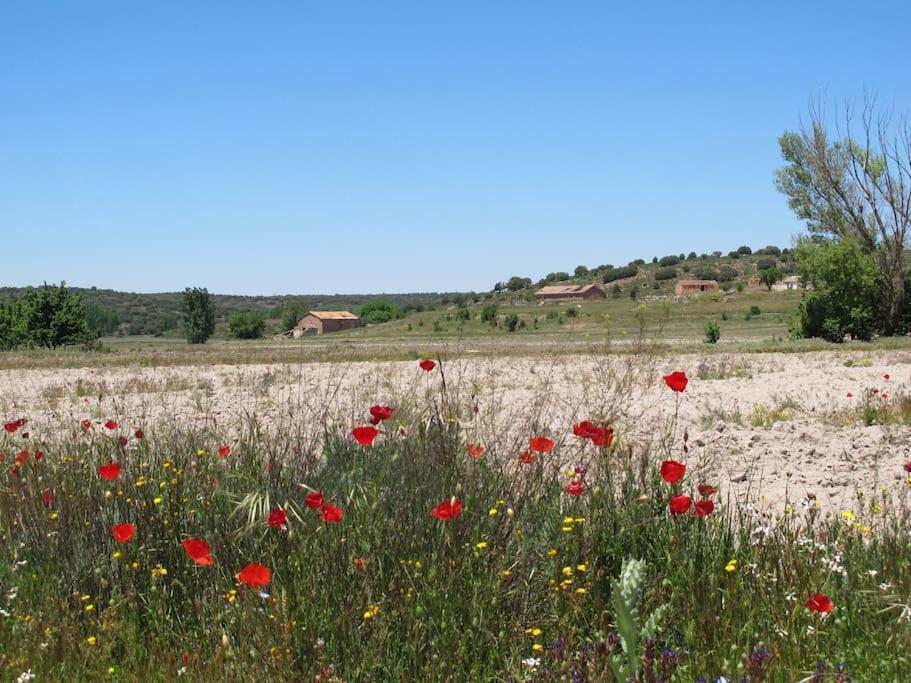 Gran Casa, Lagunas De Ruidera, Bbq, Porche, Chimenea Εξωτερικό φωτογραφία