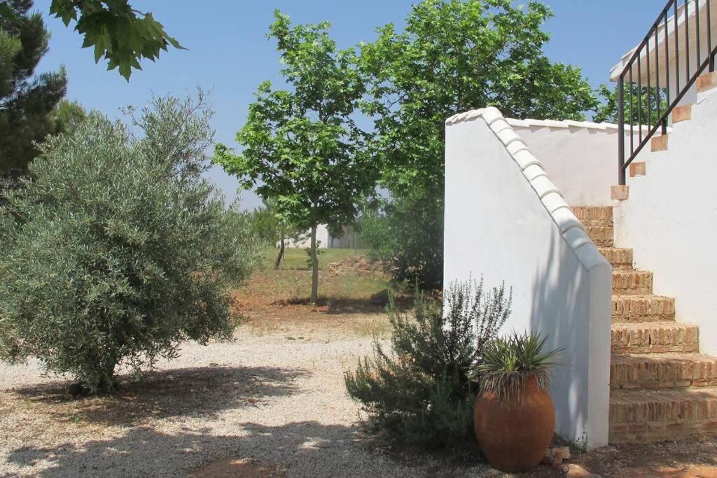 Gran Casa, Lagunas De Ruidera, Bbq, Porche, Chimenea Εξωτερικό φωτογραφία