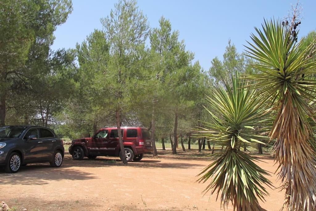 Gran Casa, Lagunas De Ruidera, Bbq, Porche, Chimenea Εξωτερικό φωτογραφία