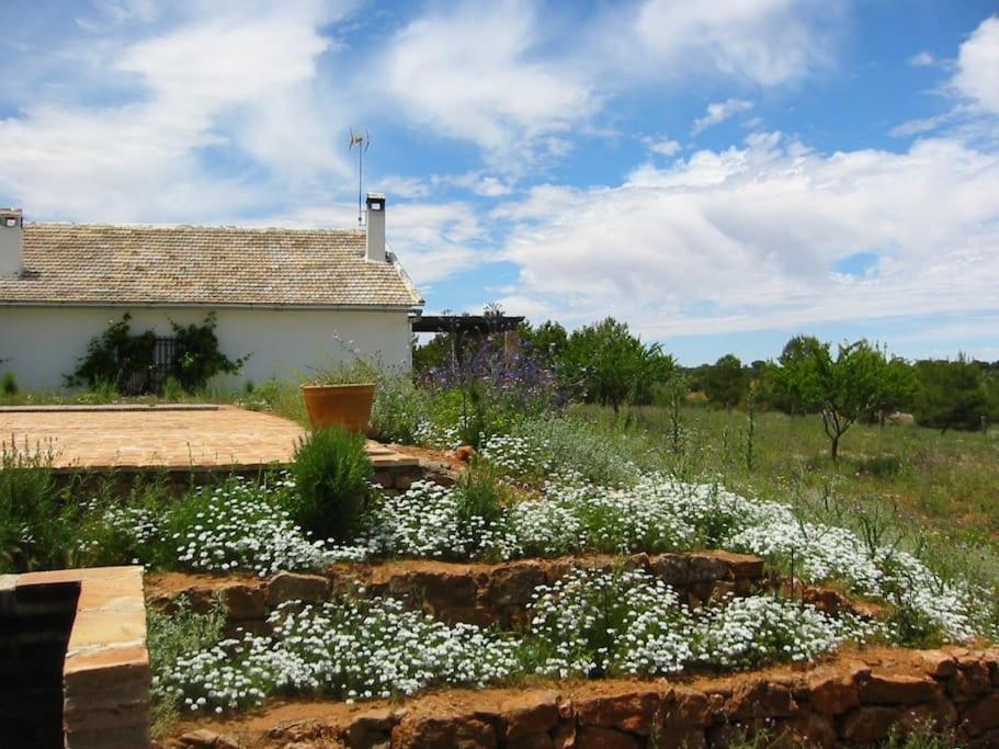 Gran Casa, Lagunas De Ruidera, Bbq, Porche, Chimenea Εξωτερικό φωτογραφία
