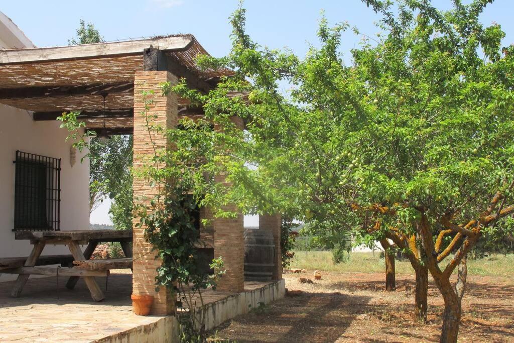 Gran Casa, Lagunas De Ruidera, Bbq, Porche, Chimenea Εξωτερικό φωτογραφία